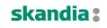 SKANDIA119x31